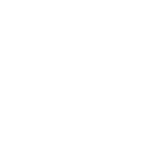 logo-befancyfit02
